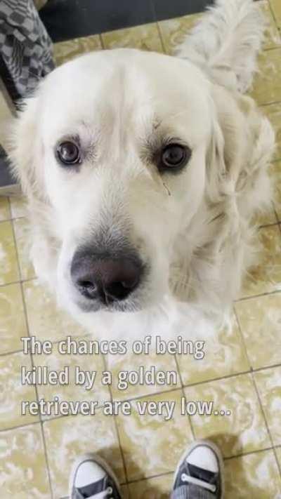 Enter at your own risk 💀