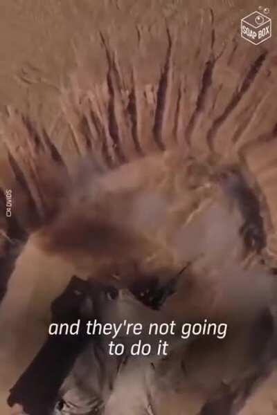 Na minha modesta opinião de ninguém que sou, eu acredito que este vídeo deve ser compartilhado até que se torne viral. Posso expor e discutir as razões abaixo