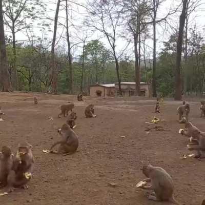 Does this video make Turks angry?