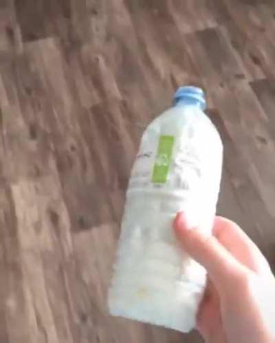 whipped cream in a bottle