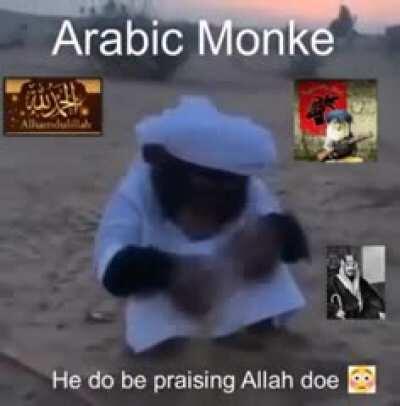 Arab monkeeeee