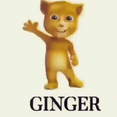 ginger