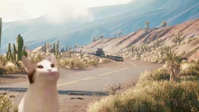 Disappearing cars 🚘