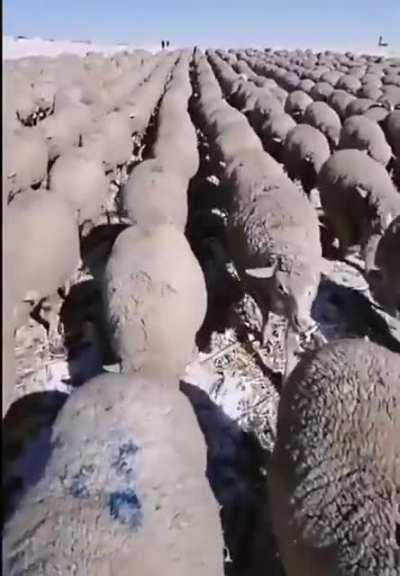 25 haziran 2023 Türkiye Genel Seçimi