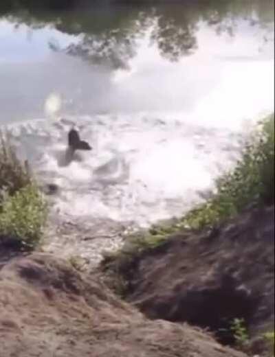 Well, I think the objective was were her to make it into the water.