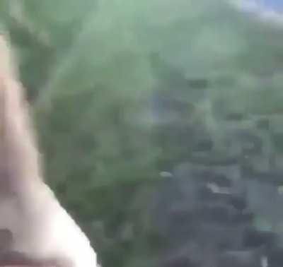 Reminder: Put your yard dogs back each morning. They tend to wander off onto the porch.