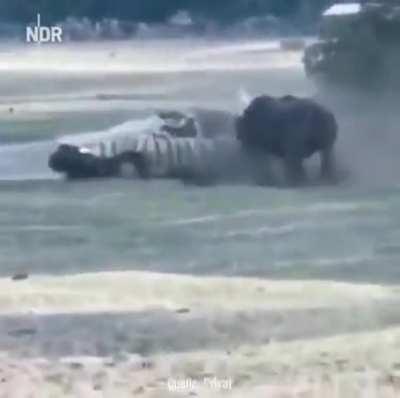 Confidence, that feeling that can get you into serious trouble