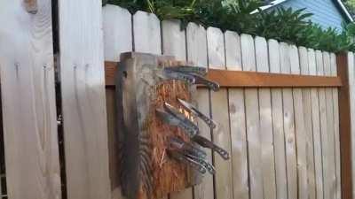 Copiii braileni ajunsi ingineri