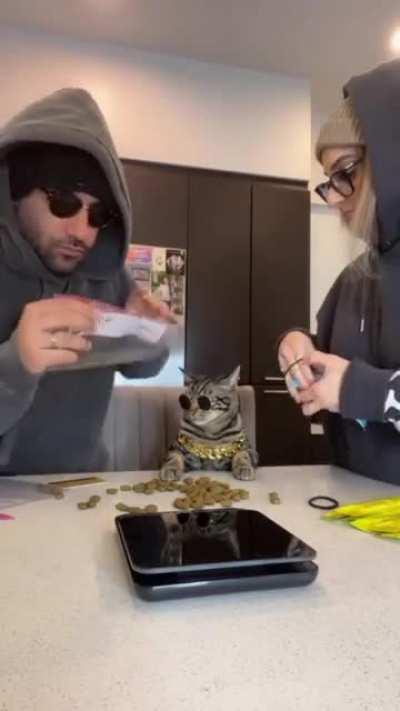 У нас было 17 пакетиков корма...