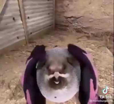 Bomb has been planted