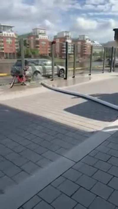 Paj på Hammarby Kaj