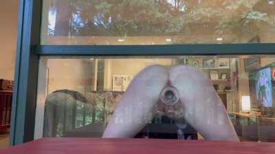 Cumming through the front porch window