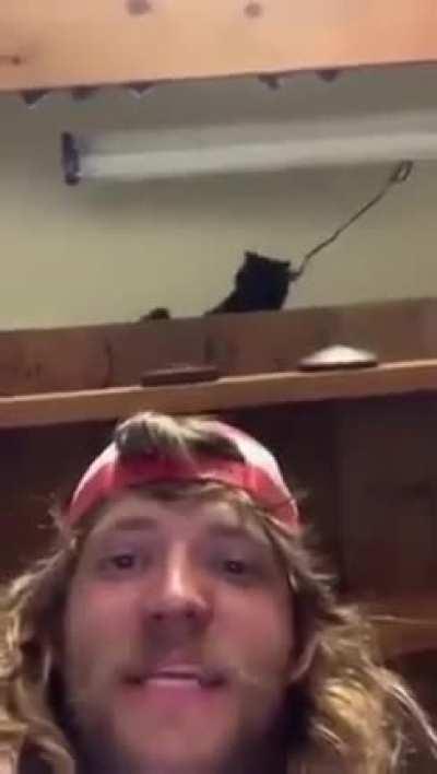 Is that a dumbbell disc?