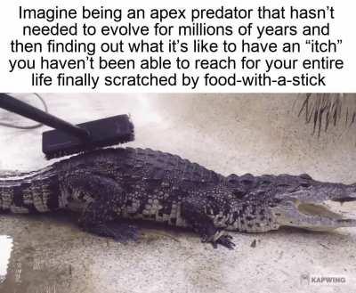 The evolution is beutiful