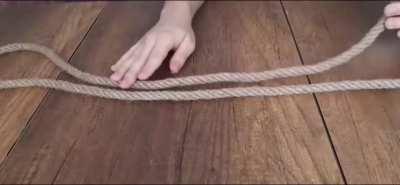 Men with 0.1% Albanian DNA