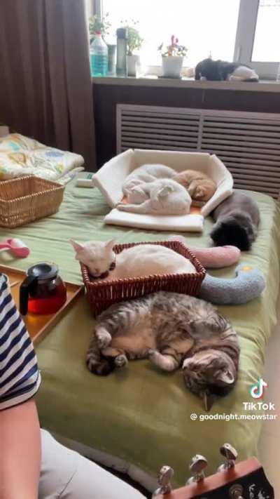 Serenading the wunks into a deep sleep