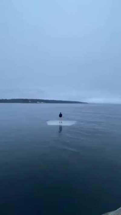 Floating away in the ocean