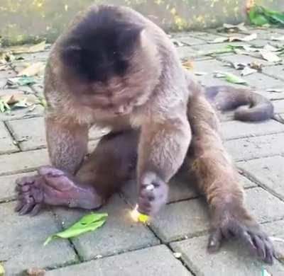 Orson aprendiendo a encender un mechero