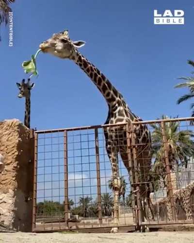 Dunno when to let go...