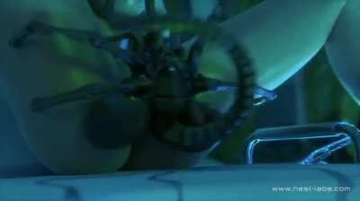 Caught by facehugger experience (angrydraconequus)