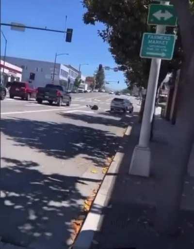 WSP after a motorcycle trick gone wrong.