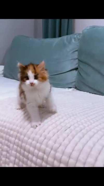 Look at this warrior 🤣