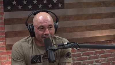 Rogan slips up when talking about the porn he watches.