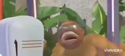 Es un secreto🦧🤫