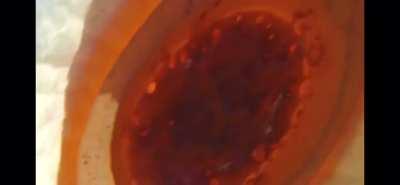 And I thought that dropping a phone into a toilet was the worst thing that could happen to it…