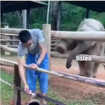 I need a friend like that!