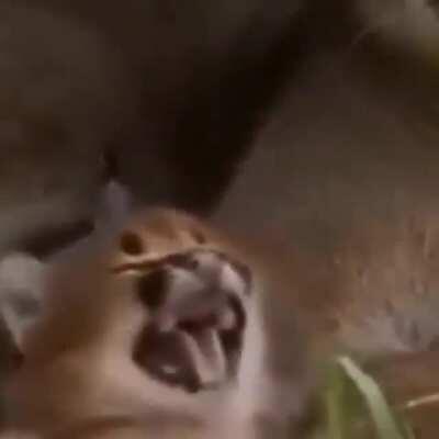 if it was posted here i will delete post