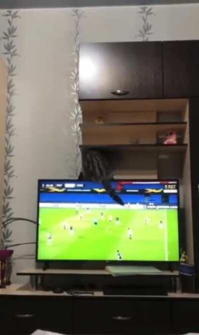 Remember when? TV's used to be much heavier and easier to climb on.