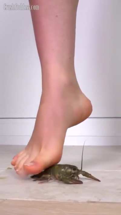 barefoot crush crawdad gift