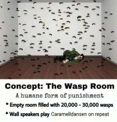 Wasp Room
