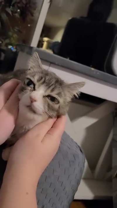 Winky loves face massages