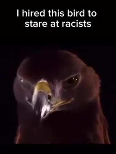 For all you funny fuckers 