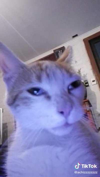 Mas Duro Que El DIEGOOOOOOO