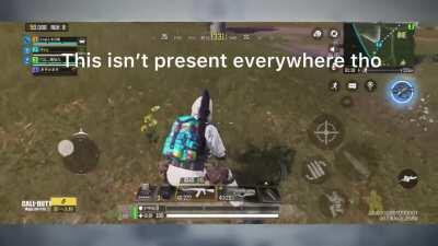 Some graphical changes in Chinese BR