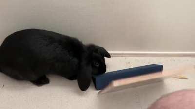 Less TV, more head rubs