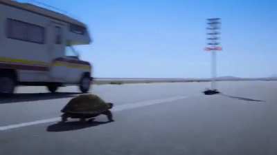 The rivalry is back!?