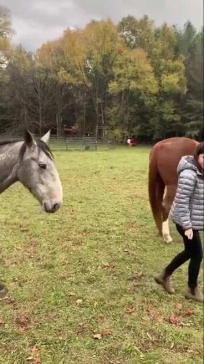 Hey... wait a minute