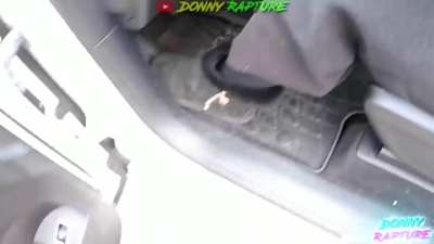 Police Arrest Clueless Woman With Street Sign Sticking Out Of Car