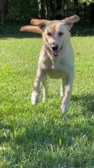 I wish I could get this happy or excited about anything