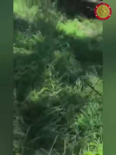 Kayan National Army fighting junta troops and doing Casevac (released on June 8; Myanmar/Burma)