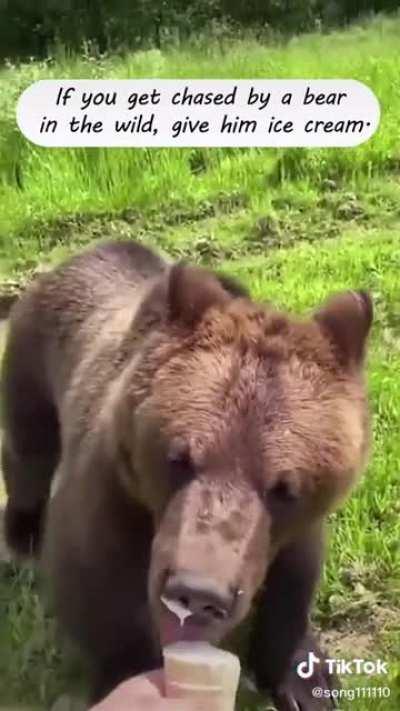 Grizzlies are terrifying