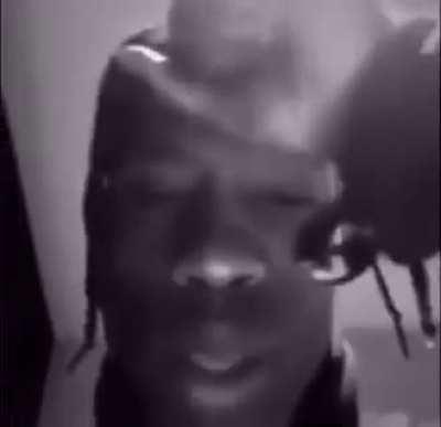 The 2021 experience,, ctto