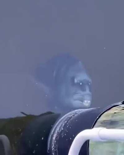 I thought it's a reflection