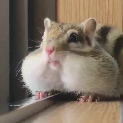 It made me think of Rae