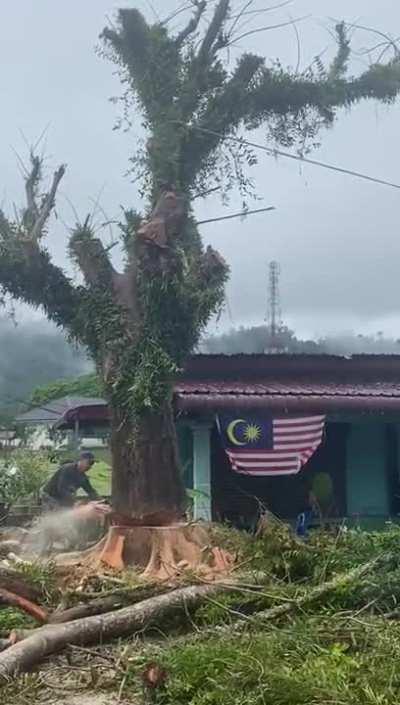 ohhh why orang kampung, why 🤦🤦