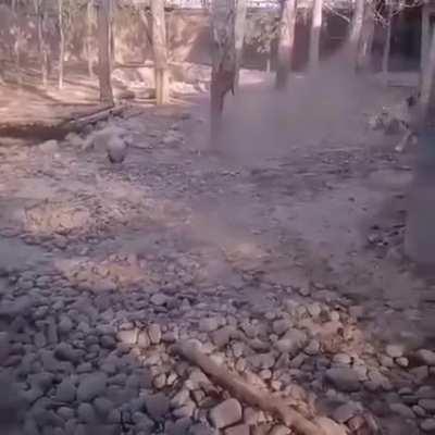 I told you kids to stay off my damn property!